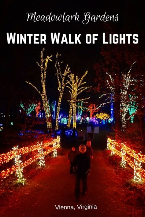 Meadowlark winter walk of lights - Meadowlark Winter Walk of Lights. The festive spirit shines brightly at Meadowlark Botanical Gardens. This half-mile nighttime stroll features thousands of sparkling lights and is wheelchair and stroller accessible. Before starting on the illuminated path, grab a cup of hot chocolate (spiked or not!), and end with s’mores.
